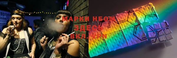 хмурый Арсеньев