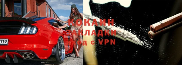 хмурый Арсеньев