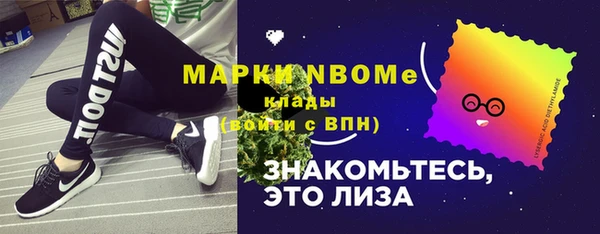 хмурый Арсеньев