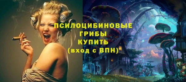 apvp Балахна
