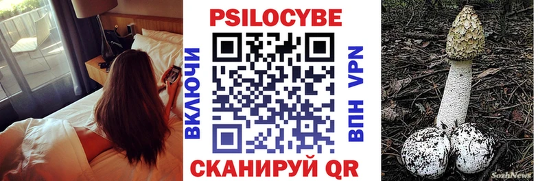 где продают наркотики  Сольвычегодск  Псилоцибиновые грибы Cubensis 